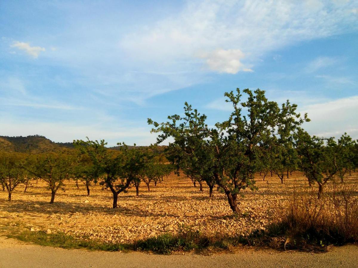 יקלה Casa Rural El Carmen De La Sierra מראה חיצוני תמונה