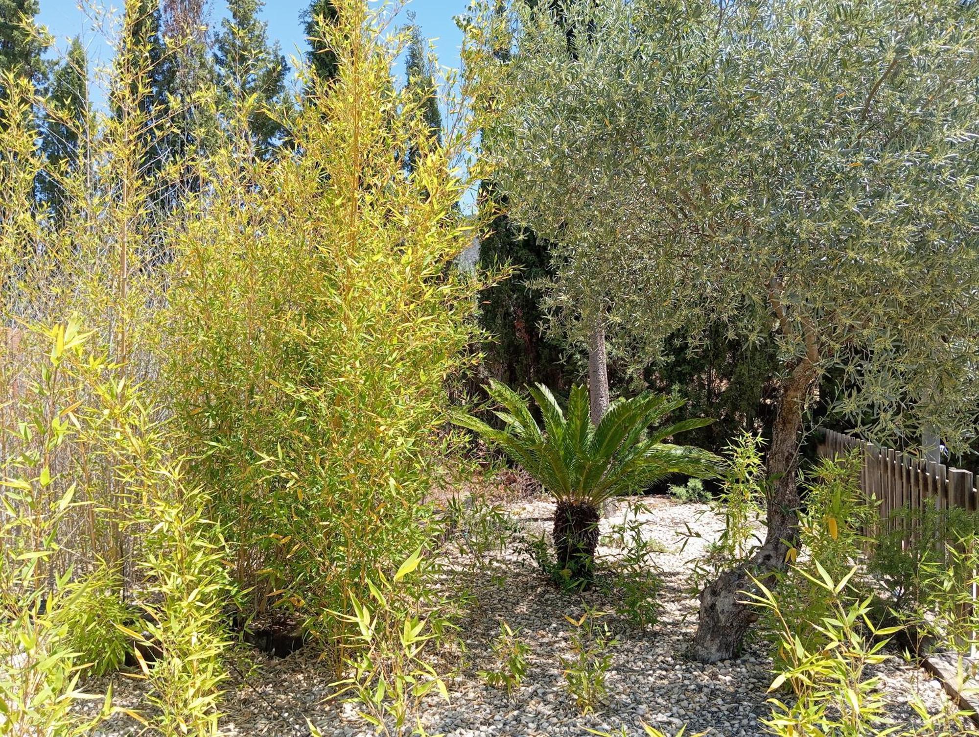 יקלה Casa Rural El Carmen De La Sierra מראה חיצוני תמונה